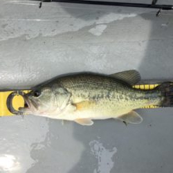 GW前半 中一日中釣行