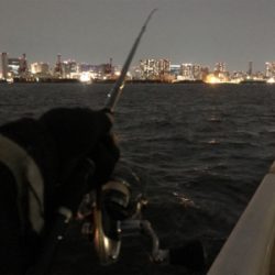 シーバスチャレンジ