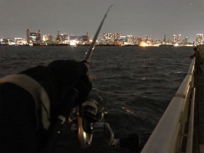 シーバスチャレンジ