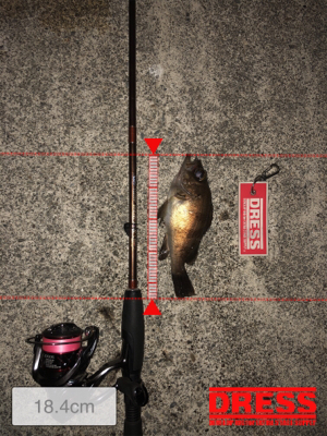 ボトムワインド