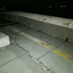 春タチに会いたくて