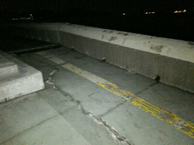 春タチに会いたくて