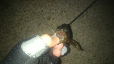 マイクロワインド炸裂