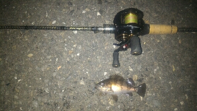 爆風メバリング