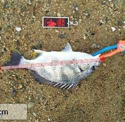 仕事終わりの短期決戦