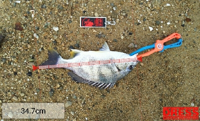 仕事終わりの短期決戦