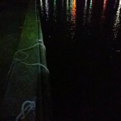 バチパターン無視で