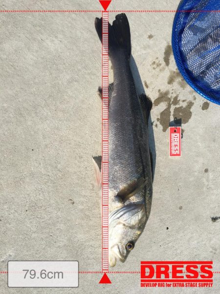 もぉランカーでいいっすか？ダメ？