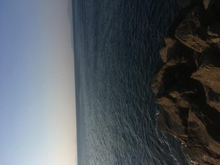 福村磯 中黒で乗っ込みチヌ