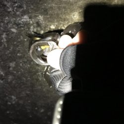 三連敗逃れた！メバリング！