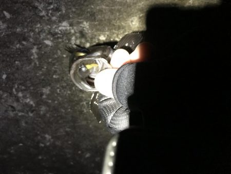 三連敗逃れた！メバリング！