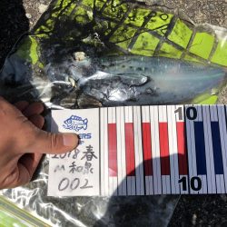 みんなにヒット