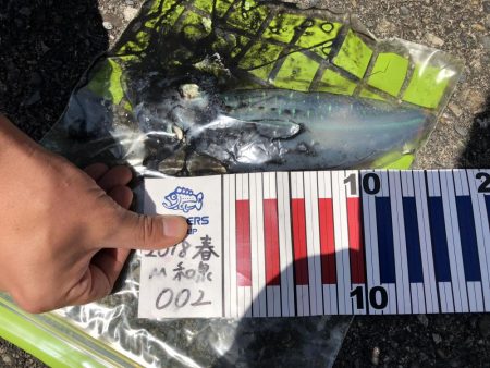 みんなにヒット