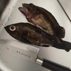 爆風ライトゲーム