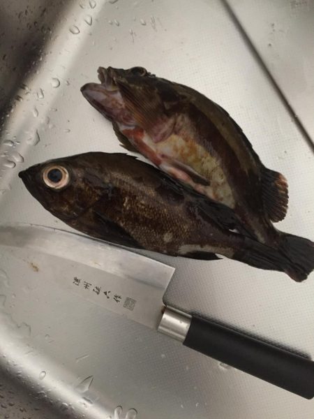 爆風ライトゲーム