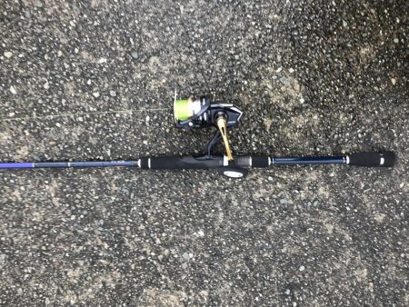 暖かくなり釣り人も多くなってる