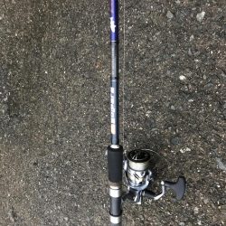 カタクチイワシの群れが大量