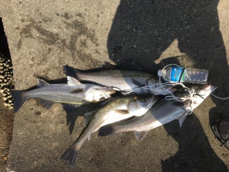 強風の中の釣果