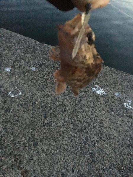 超ライトゲーム