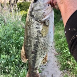 春が来たのでそろそろと思い‥