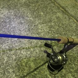 野池フローターからのアジング