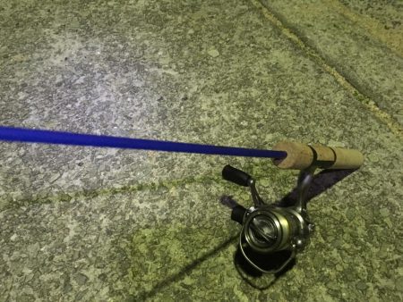 野池フローターからのアジング