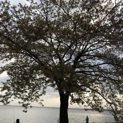 2週連続ゲット‼️