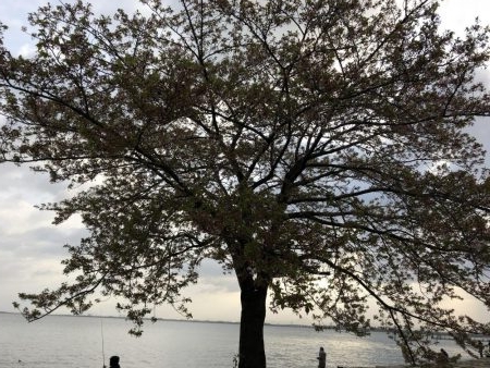 2週連続ゲット‼️