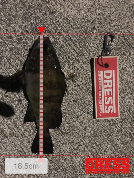 メバリング！！