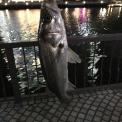 マイクロベイト パターン攻略