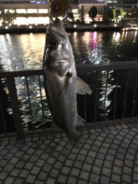 マイクロベイト パターン攻略