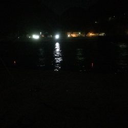 複数釣果&最高サイズ