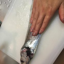 次は君がシーバスを釣って周りを驚かせているかもよ？