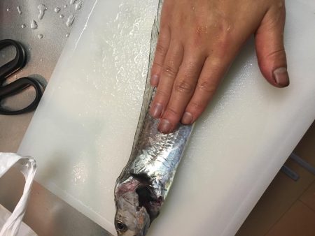 次は君がシーバスを釣って周りを驚かせているかもよ？