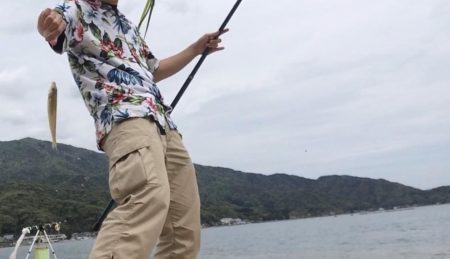 シロギス良好！