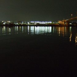 メバル行方不明