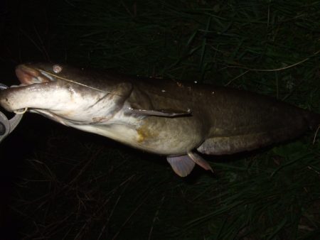 久々の水面爆発