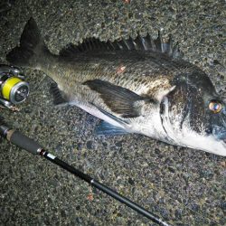 良い引きでした