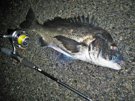 良い引きでした