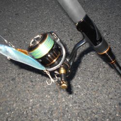 またテクトロでチビ1匹だけ…(南港周辺シーバス釣行)