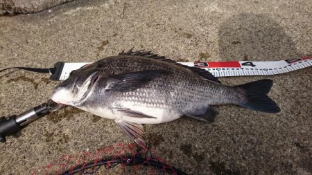 強風でも釣りに行く❗