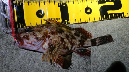 仕事終わりメバリング