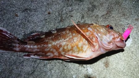 夕マズメメバリング