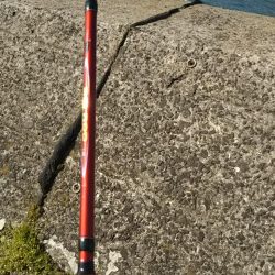 天気がいいので