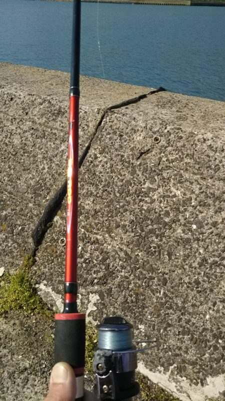 天気がいいので