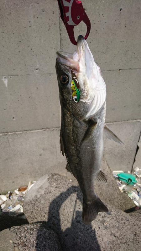 仕事前にちょろっと