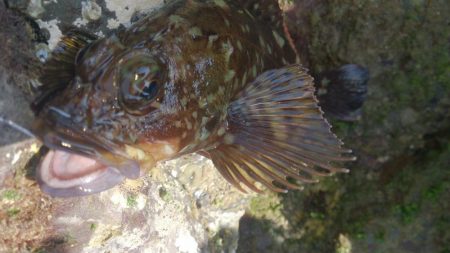 もう少しサイズほしいな