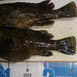 でたっ！モンスター