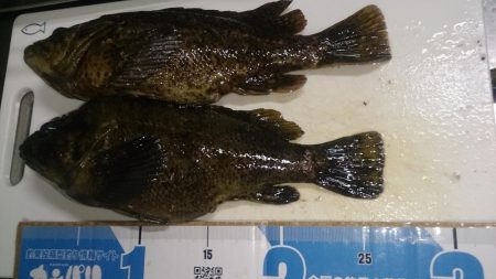 でたっ！モンスター