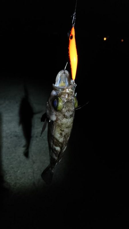 久しぶりの釣行